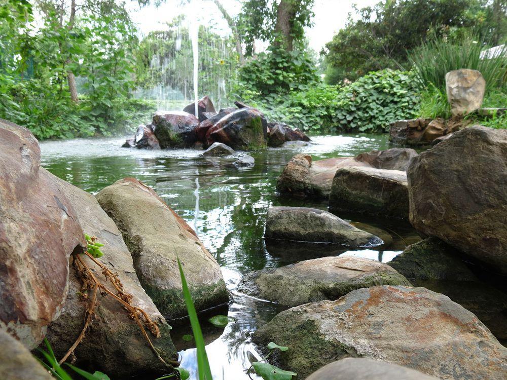 Rincon Del Montero Hotell Parras de la Fuente Exteriör bild